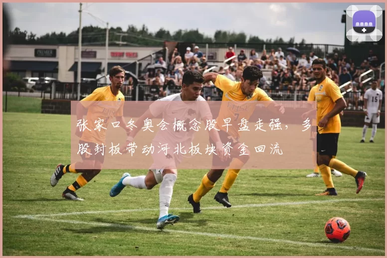 张家口冬奥会概念股早盘走强，多股封板带动河北板块资金回流