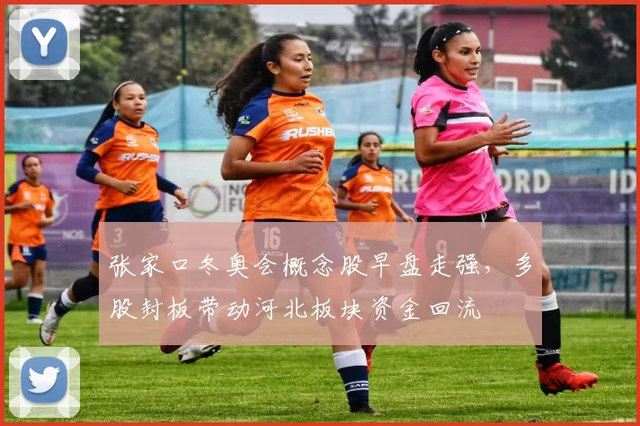 张家口冬奥会概念股早盘走强，多股封板带动河北板块资金回流