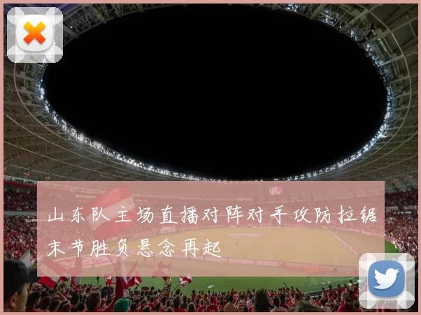 山东队主场直播对阵对手攻防拉锯末节胜负悬念再起