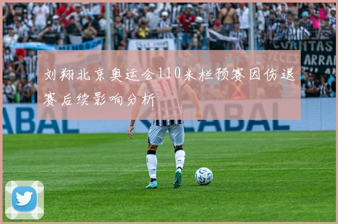 刘翔北京奥运会110米栏预赛因伤退赛后续影响分析