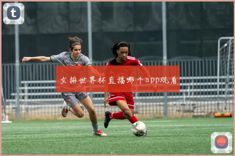 女排世界杯直播哪个app观看